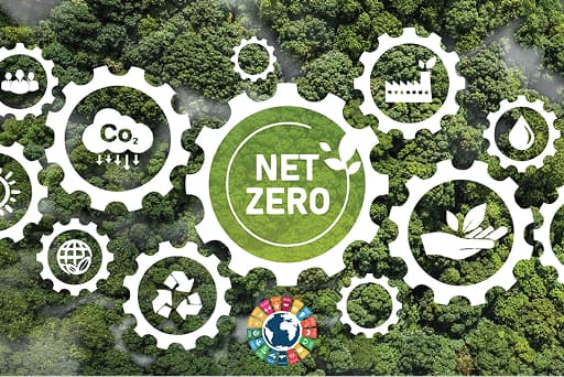 Championing a brighter tomorrow